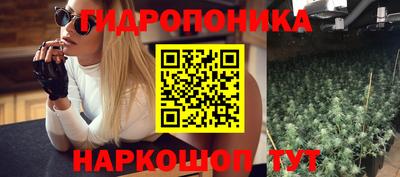 твердый Будённовск