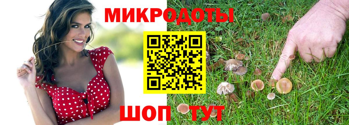 Слободской  Псилоцибиновые грибы Cubensis  Псилоцибиновые грибы Psilocybine cubensis  Вход с VPN 