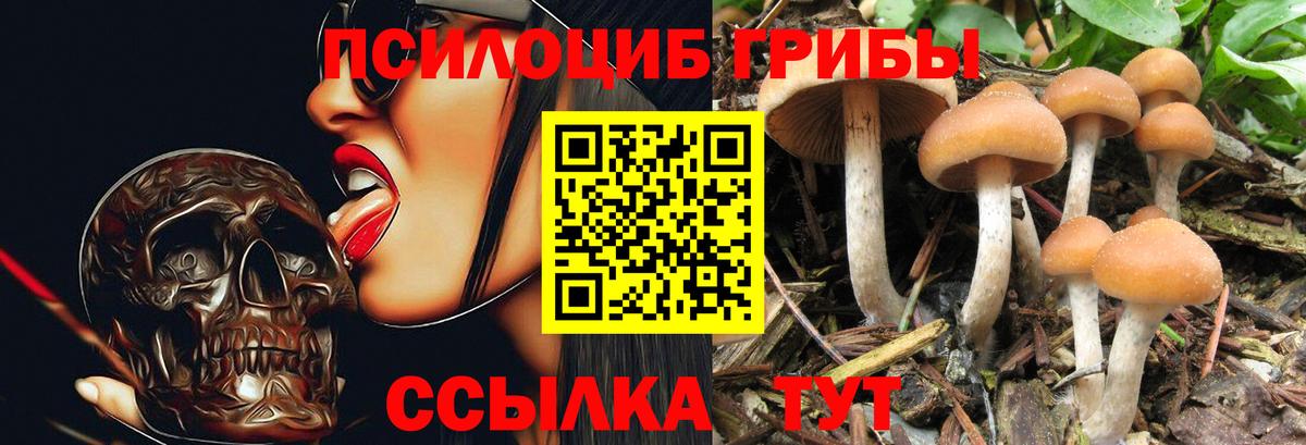 Галлюциногенные грибы прущие грибы Слободской